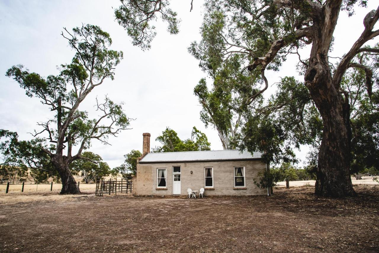 Ravenswood Homestead Buitenkant foto